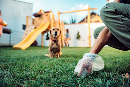 Why Lincoln Dog Owners Are Turning to Professional Poop Scooping